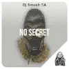 DJ Smash SA - No Secret - Single